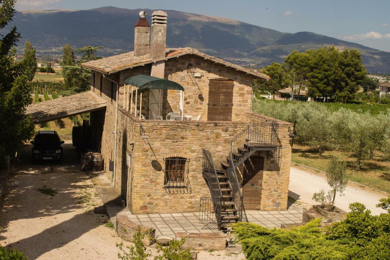 Country House Carmelita Limigiano Exterior foto